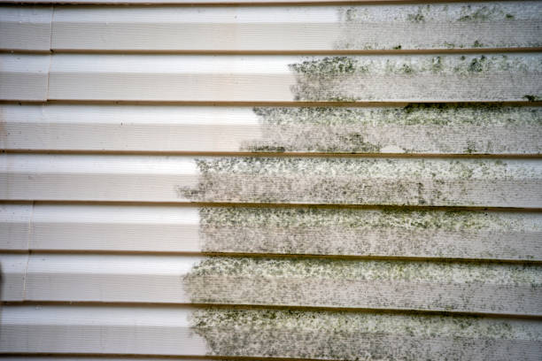 Best James Hardie Siding  in Lamont, CA