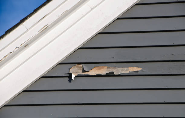 Affordable siding repair and maintenance services in Lamont, CA